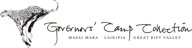 GCC logo BLACK landscape