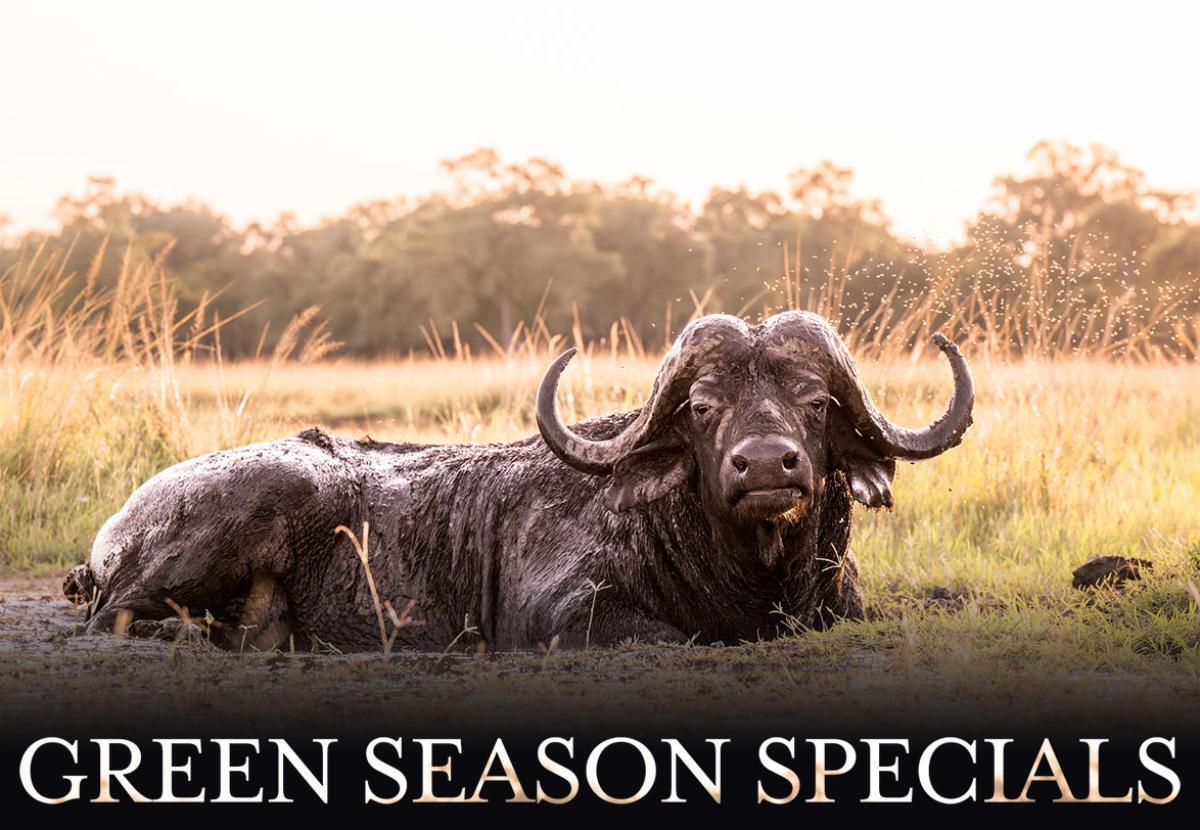 Green Season Specials