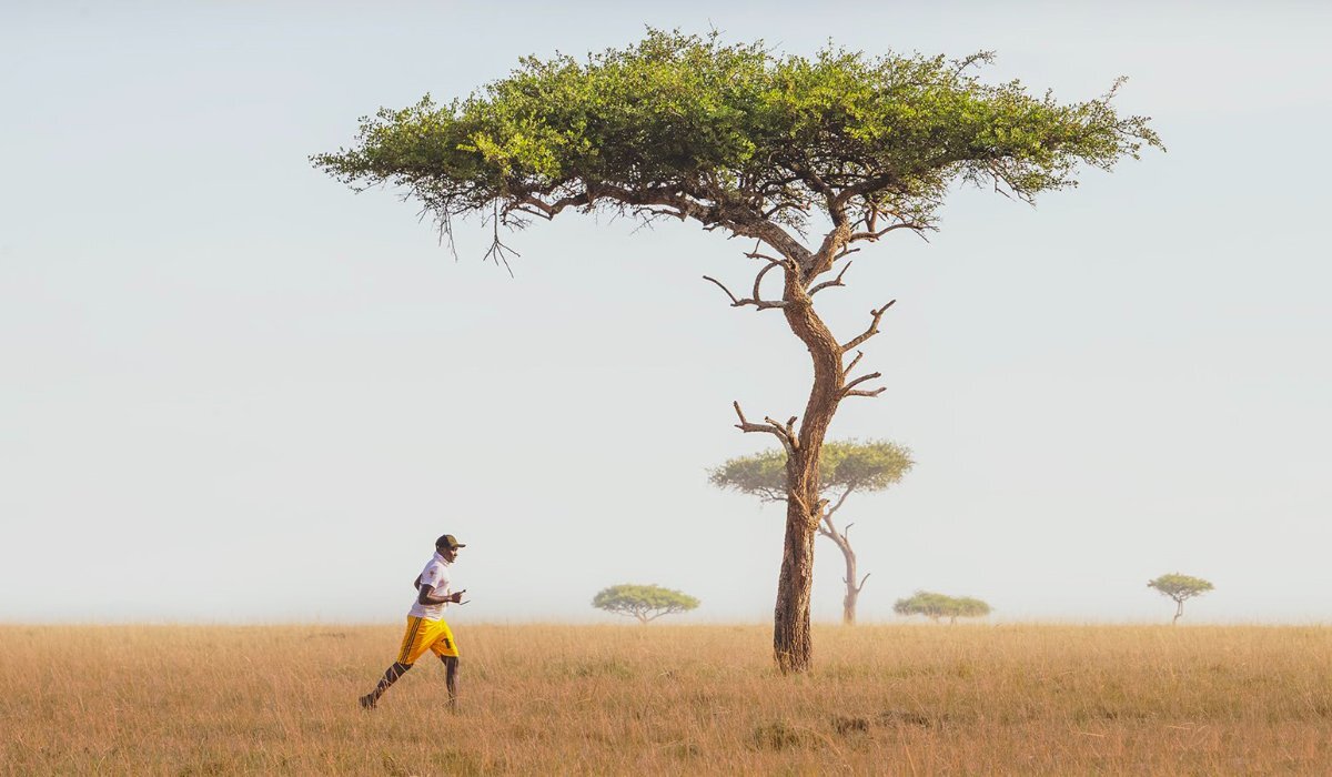 November impact blog