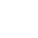 WTA 2024