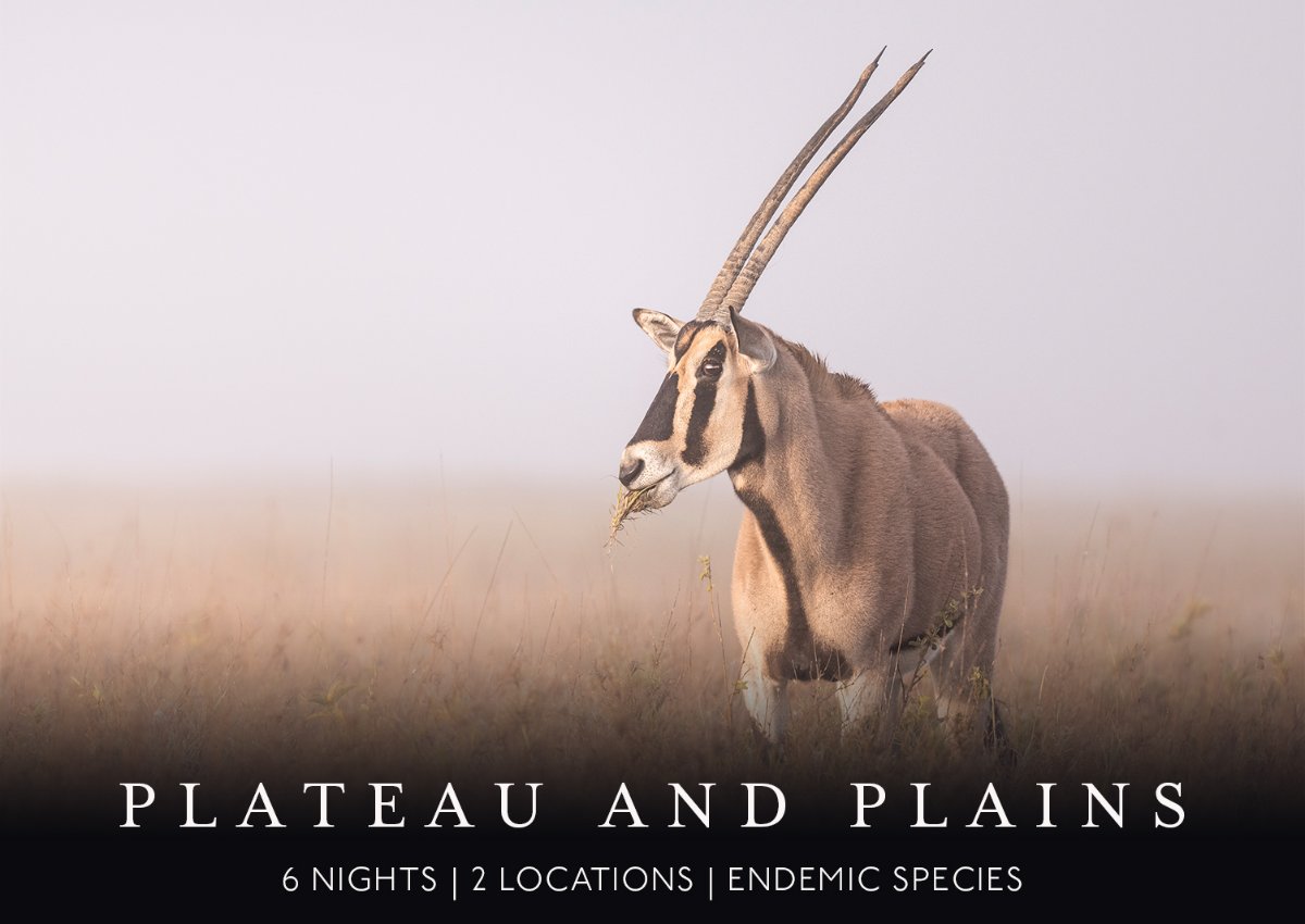 plateau and plains
